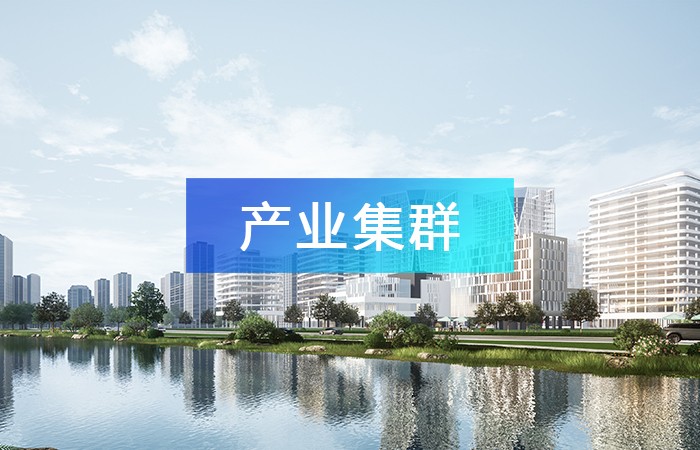 善用產業鏈招商，推動產業集聚，打造產業集群發展！